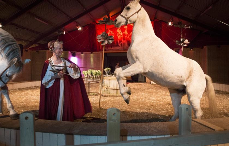 Bustur til Kornets Hus og Cirkusgården